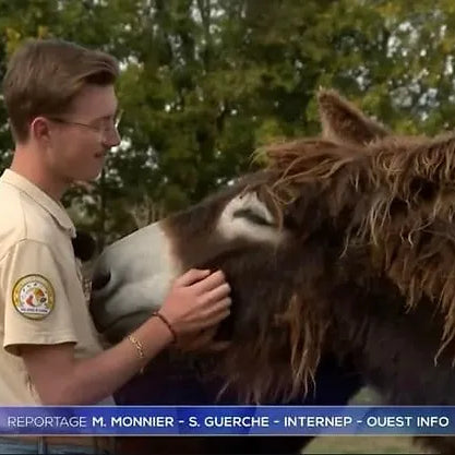 Reportage TF1. Le Parc dans le JT de 13h, et si on parlait du Baudet !