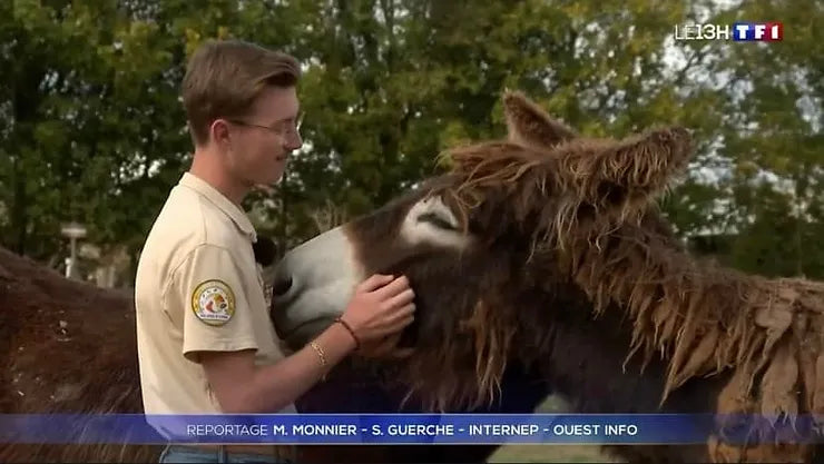 Reportage TF1. Le Parc dans le JT de 13h, et si on parlait du Baudet !