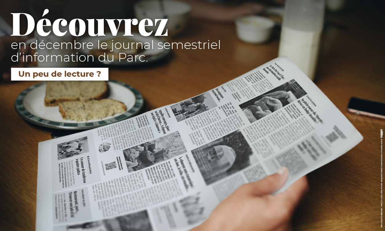 Découvrez dès le 3 décembre, notre tout nouveau journal d'information !