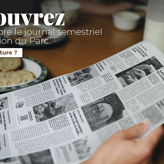 Découvrez dès le 3 décembre, notre tout nouveau journal d'information !
