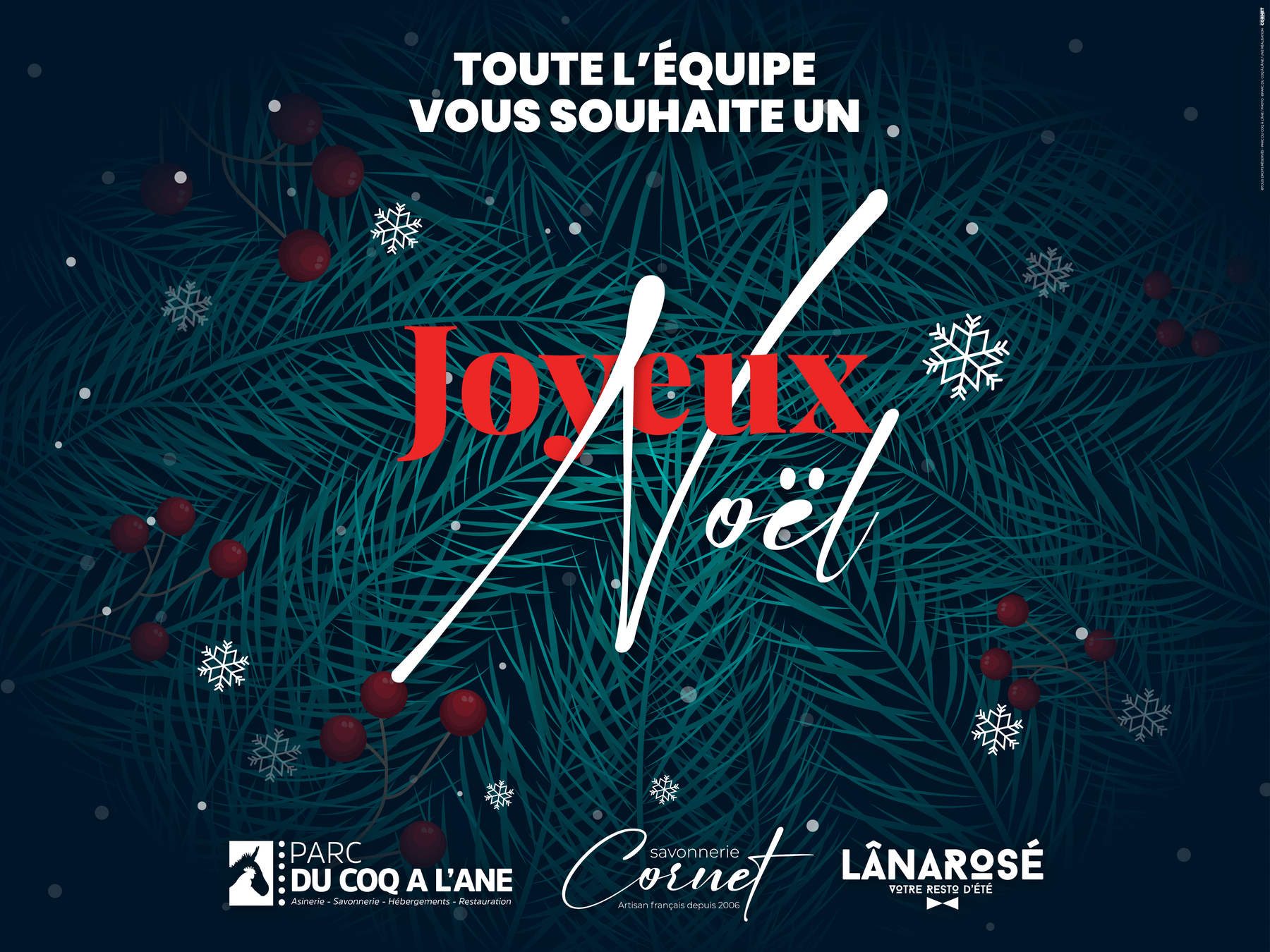 Toute l'équipe vous souhaite un joyeux Noël !