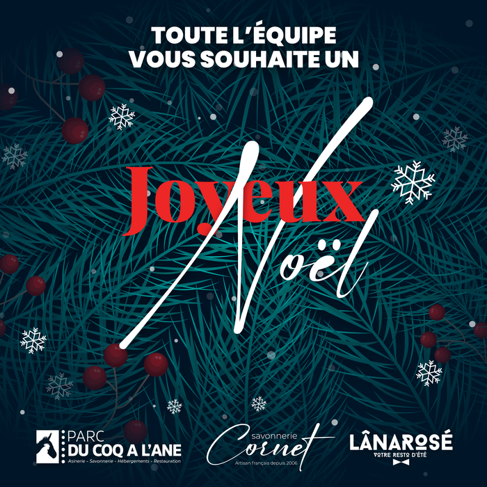 Toute l'équipe vous souhaite un joyeux Noël !
