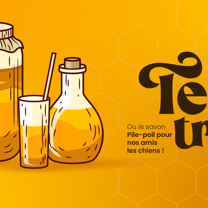 L'huile essentielle de tea tree : ou le savon "Pile-poil", idéal pour nos amis à quatre pattes