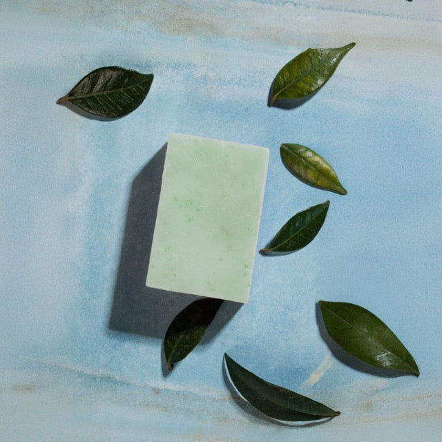 Savon au lait frais et cru d'ânesse : gel d'Aloe Vera - Savonnerie Cornet