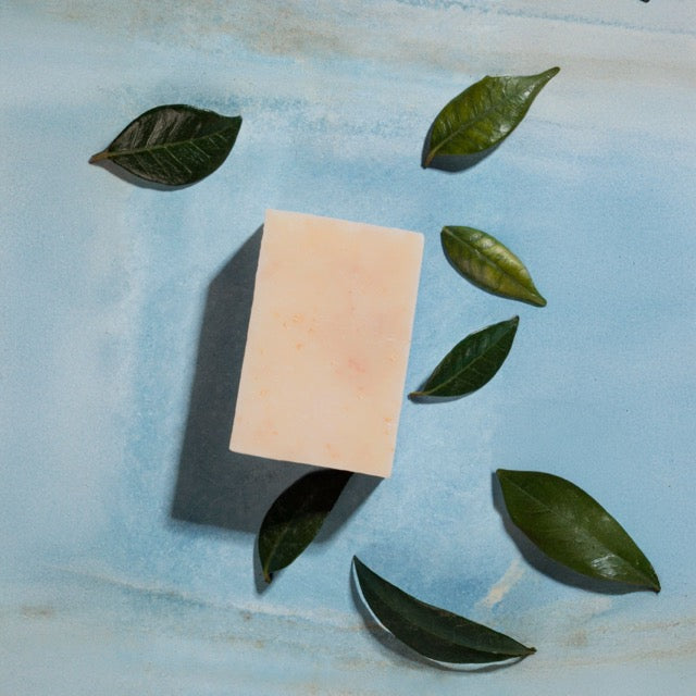 Savon au lait frais et cru d'ânesse : Miel - Savonnerie Cornet