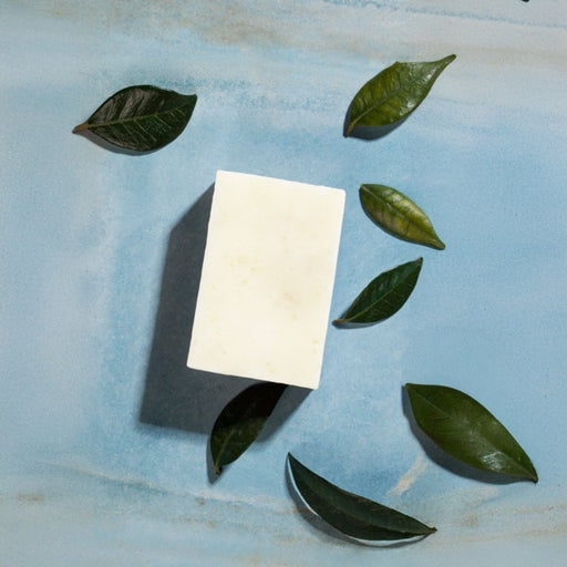 Savon au lait frais et cru d'ânesse : Nature - Savonnerie Cornet